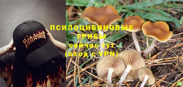 первитин Алексин