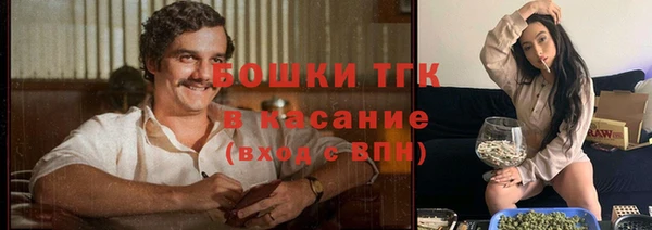 индика Алексеевка