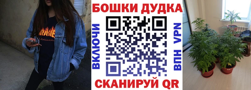 мега ссылка  Пролетарск  Конопля White Widow 